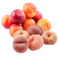 Wilde perziken schaal à 750 gram
of nectarines schaal à 1 kilo